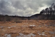 После долгой зимы / Пейзаж на болотистой местности