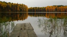 осенью так хочется........ / Наглимозеро. Архангельская область.