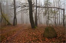 Глубокая осень / В один из серых туманных дней октября