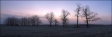 За час до рассвета 2 / панорамка-3 кадра,безснежное январьское утро