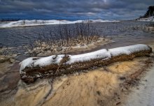 истории бревна (1) / Baltica in winter
