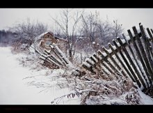 &nbsp; / Заброшенные участки на окраине деревни Карманово Московской области.