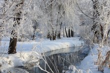 Зимние кружева / Зима,мороз,иней,речка,деревья
