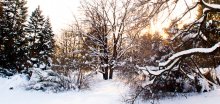 Зимний сад / Ботанический сад, Минск