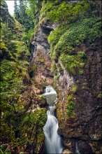 Bulgaria. Trigrad Canyon / Триградское ущелье. Одно из красивейших мест болгарских родоп. Там где ущелье сужается до нескольких десятков метров в ширину, горная река уходит под землю, падая в огромную пещеру.
