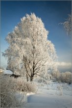 снежная зима... / Соломбала