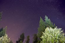 Звёзды в лесу / Не имел цели сделать этот кадр. Искал место для тайм-лэпса: http://youtu.be/nF-tWmpCQno
Деревья подсвечиваются фарами.