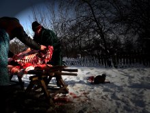 Деревня / 2012
