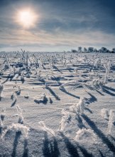 Зимнее поле / мороз и солнце