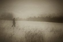 Silent world / Silent world