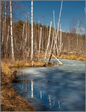 Цвета чисто весенние! / springtime