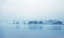 Дурман / Раннее утро. Туман стелющийся над озером.
