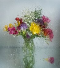 Весенний дождь / Мокрое стекло