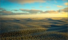ледяная пустыня... / Камчатка, Охотское море