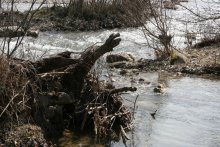 Весенний паводок / Горная речка в Крыму во время весеннего паводка