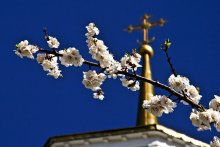 Весенние... / Город,весна