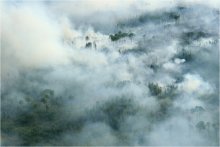 Русский лес / Лесной пожар с борта вертолёта.