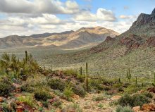 &nbsp; / Tucson Mountain Park, Аризона