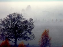 ...Осенний туман... / ***