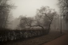 Туманное утро апреля в парке / 1/200 сек, f/3.5, F 18mm, ISO 200
