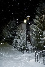 Зимняя ночь / Nikon D3000
