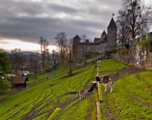 У стен замка Рапперсвиль / Schloss Rapperswill - рапперсвильский замок 13-го века. Он возвышается на холме в средневековой части города. Рядом с замком живут олени. Замок впервые упоминается в 1229 году. В 1350 г он был разрушен Рудольфом Бруном, мэром Цюриха, памятник которому стоит в Цюрихе напротив Фраумюнстер. Однако уже в 1352/54 гг замок был восстановлен австрийским герцогом Альбрехтом II. С 1870 году польскими эмигрантами в замке был организован польский музей.