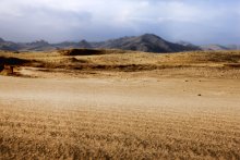 mongolia / sand