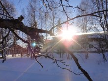 зимнее солнце / в селе Красноселькуп