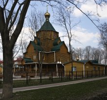Весенние... / весна,цветок,клоп-солдатик