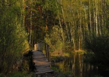 На лесных тропинках / Заповедник Лосиный остров