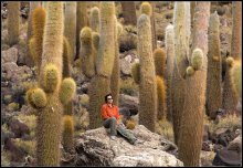 Среди исполинов.... / Второй раз я в Боливии, второй раз наконец-то добралась до острова Пескадо, с
гигантскими кактусами, высотой под 12 метров.

Некоторые кактусы уже зацвели, открыв нежно-желтые цветочки....
 Истоптав этот остров вдоль и поперек.....и изрядно утомившись, я присела на камень и попросила своего попутчика Александра сфотографировать меня на память.....среди этих исполинов!
 Фотокарточка на память.....Для меня и моих друзей))))
 Файл-подарок, обработка - моя...

О путешествиях в Южной Америке можно почитать в моем ЖЖ...