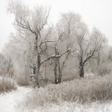 Из зимней графики / Донецкая обл.