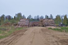 Позади Большого села / Вологодская область, Кипеловский район, Большое село