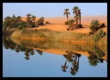 Оазис-2 / еще одна фотография оазиса,другое кадрирование....

раннее утро...

Подземные воды питают экосистему не пересыхающего озера Um Al Maa, затерянного среди бескрайних барханов юга Ливии....
Такие озера в Сахаре-большая редкость, а вода тут-на вес золота.