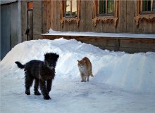 Неприятели / Случайная зарисовка.