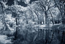 another world / IR foto