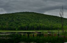 _^__I* / Gatineau Park