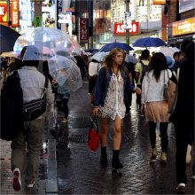 &nbsp; / Дождь. Одиночество.

Shibuya, Tokio