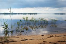 Наше озеро, широко... / Спокойно озеро, широко, 
Как чаша полная водой, 
Зарёй подернуто с востока, 
Хранит пленительный покой. 

Одета дымкой розоватой, 
Не шелохнётся осока́, 
Туманом скрыта, словно ватой, 
Вдаль убежавшая река. 

Прилив бодрящей, свежей сырости 
Отрадно душу веселит: 
Казалось, где б тревоге вырасти, — 
А всё ж она томит, 

Томит отравой сладко-горькой 
Слезами кроет даль, 
И я, любуясь алой зорькой, 
Сам не пойму, о чём печаль? 

Хочу ль сказать я солнцу: «Брызни 
В туман потоками лучей, 
И жарким веянием жизни 
Тишь приумолкшую обвей»? 

Иль жалко мне, что обаяние 
Прохлады утренней сбежит 
И солнца гордого сияние 
Опять мне очи утомит?