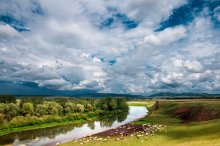 На лугу пасутся КО / р.Нугуш .Перед дождем