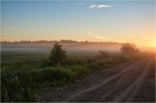 Утренний туман / Июльское утро