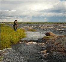 про рыбака... / побережье Белого моря