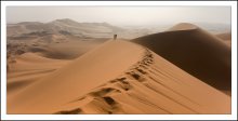 Следы на песке.... / Дюна Тин Мерзуга,100 метров в высоту, разделяет две страны -Алжир и Ливию. В это место мы добрались только на 4-й день, долго ждали, когда пройдет песчаная буря....и вот, рано утром, мы смогли взобраться на нее...
