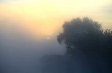 Солнце в тумане... / ***