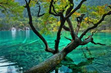 Shuzheng Lake &amp; Waterfalls / Долина девяти деревень (кит. 九寨沟, англ. Jiuzhaigou Valley)