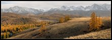 Долина реки Актру-2 / панорама 6 кадров....