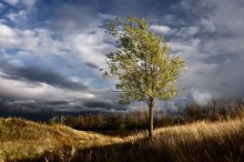 Разгоняя осенние тучи / Banishing autumn clouds