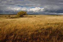 Осенние поля / Autumn field