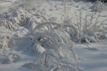 Сказка зимы / Причуды зимы,сказка