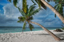 Про белый песок / Остров Meedhu, расположенный внутри кораллового атолла. Почти кусочек Рая. Двери в домах не закрывают, а во многих домах дверей просто нет. Над головой растут кокосы, папайя и бананы.